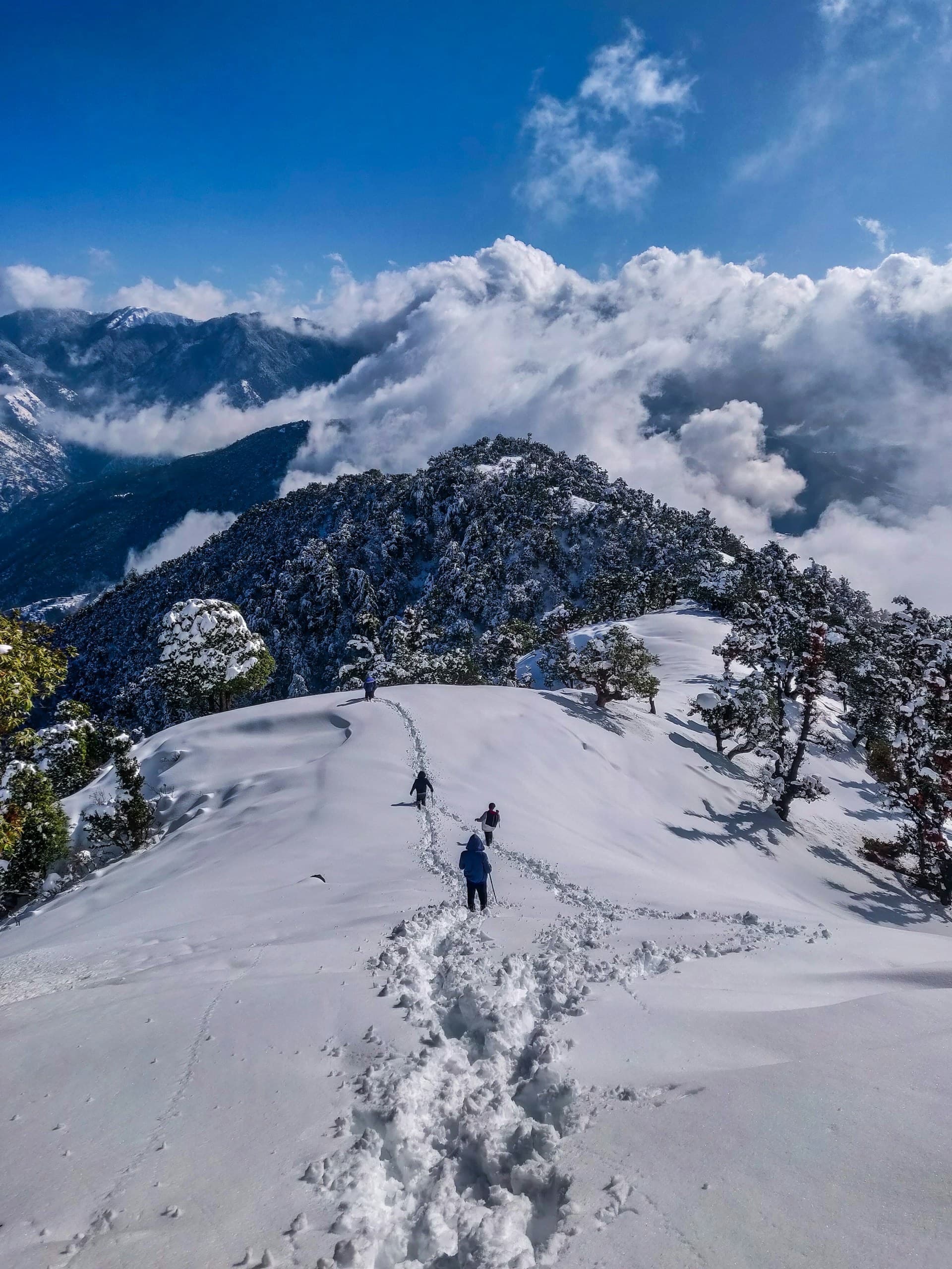 Ladakh monastery against snow-cloaked peaks